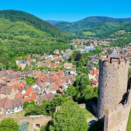 Les Chambres De La Weiss Kaysersberg-Vignoble Eksteriør billede